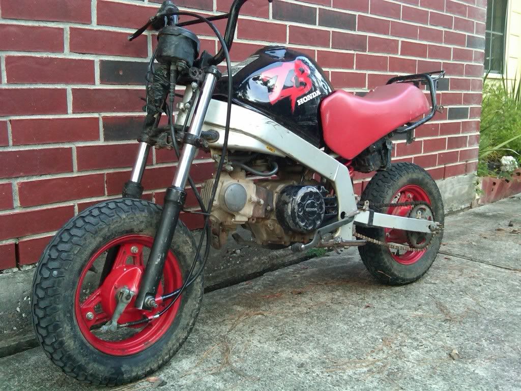 MY ZB50 build thread | Page 3 | PlanetMinis Forums